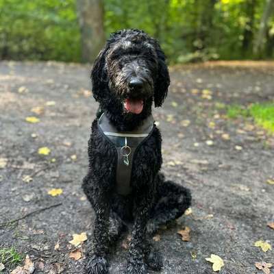 Suchmeldung-Sunny-Bild