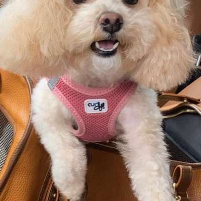 Suchmeldung-Bonnie -Bild