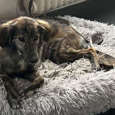 Suchmeldung-Nouha-Bild