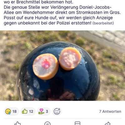 Giftköder-Wurststücke mit vermutlich Rattengift-Bild