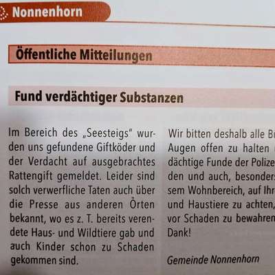 Giftköder-Vermutlich Rattengift!-Bild