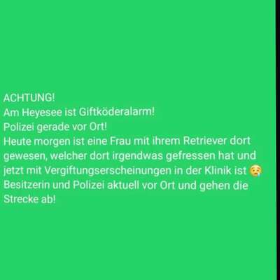 Giftköder-Vermutlich Giftköder am Heyeglassee-Bild