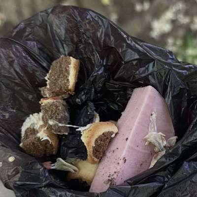 Giftköder-Möglicher Giftköder-Bild