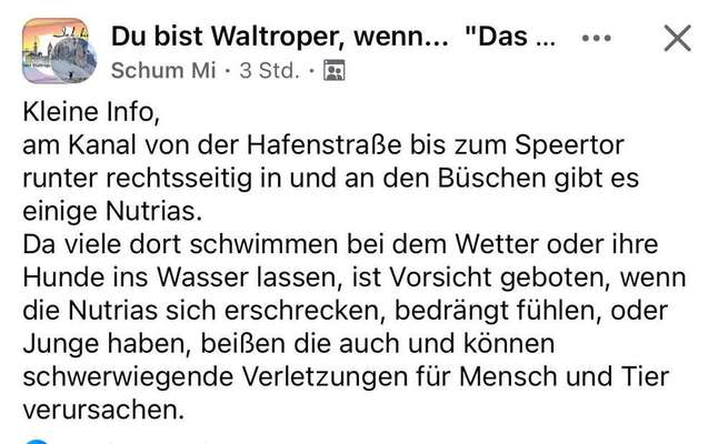 Giftköder-Giftköder-Bild
