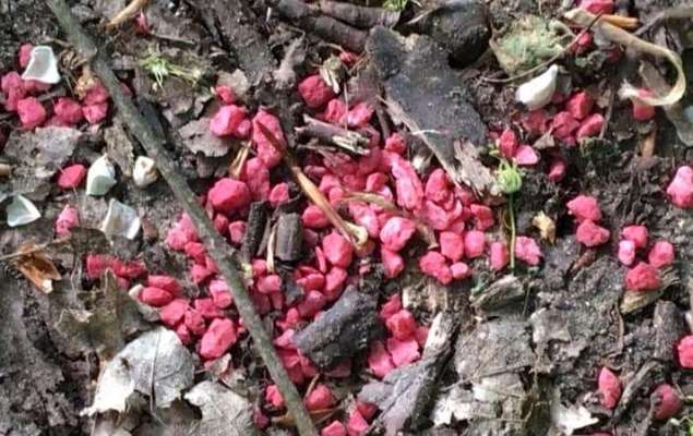 Giftköder-Giftköder-Bild