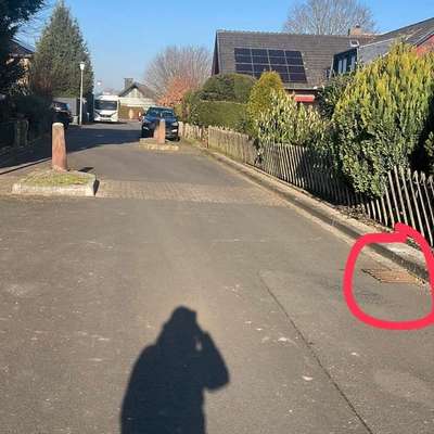 Giftköder-Giftköder auf Gullideckel-Bild