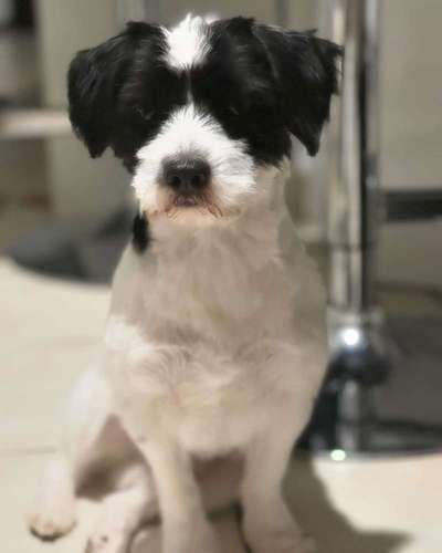 Giftköder-Giftköder-Bild