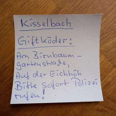 Giftköder-2 tote Katzen-Bild