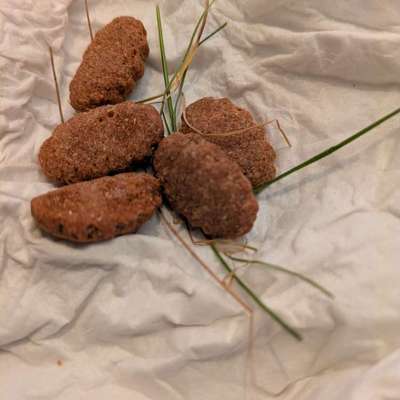 Giftköder-Potentielle Giftköder -Bild