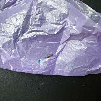 Giftköder-Vermutlich Rattengift-Bild