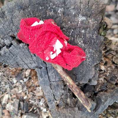 Giftköder-Köder mit Rasierklinge -Bild