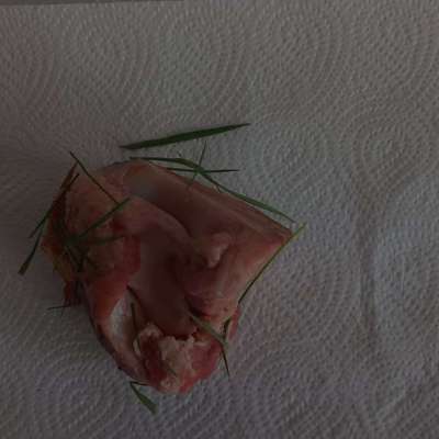 Giftköder-Fleisch mit Gift -Bild