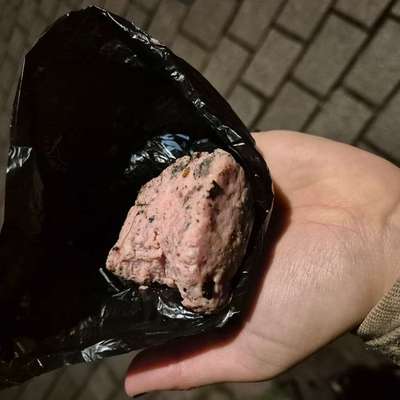 Giftköder-Verdacht Fleisch-Giftköder beim Labyrinth-Bild