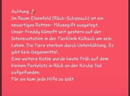 Giftköder-Rattengift-Bild