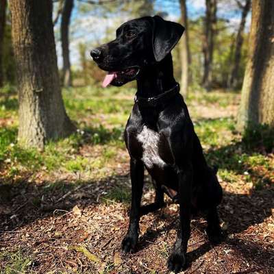 Suchmeldung-Slow Moe-Bild