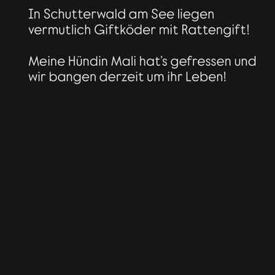 Giftköder-Giftköder am See-Bild