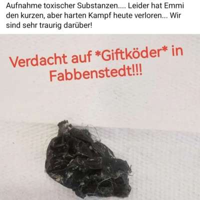 Giftköder-Giftköder-Bild