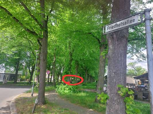 Giftköder-Giftköder Verdacht-Bild