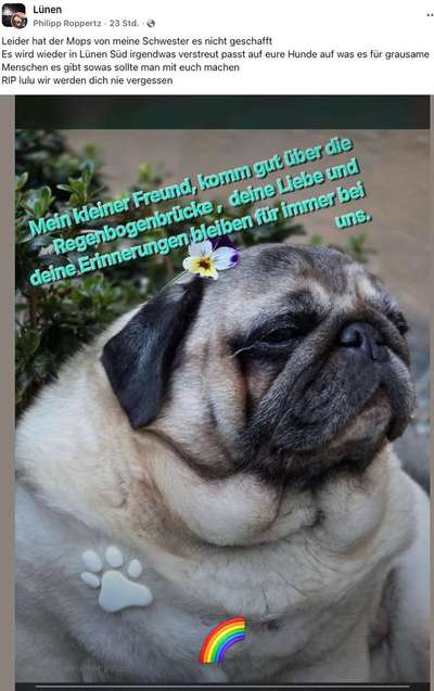 Giftköder-Trauriger Verdacht: Giftköder in Lünen-Süd – Hund verstorben-Bild