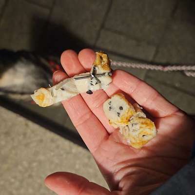 Giftköder-Hähnchenfleisch mit Nägel -Bild