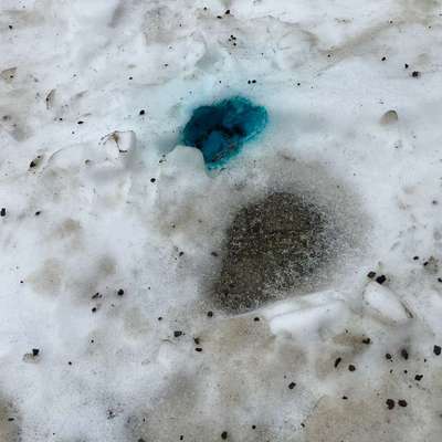 Giftköder-?Rattengift? Beethovenstraße / Franz-List-Straße / Mendelssohnstraße-Bild