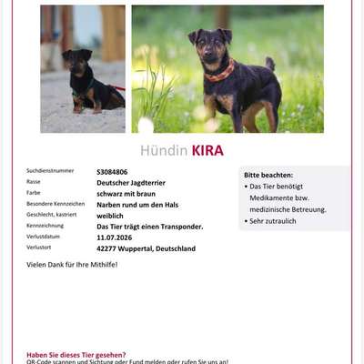 Suchmeldung-Kira-Bild