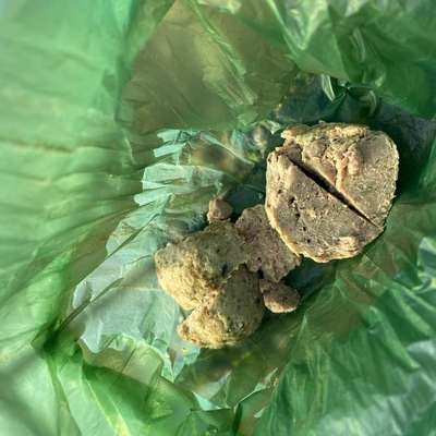 Giftköder-Knödel aus Leberwurst (Giftköder mögl)-Bild