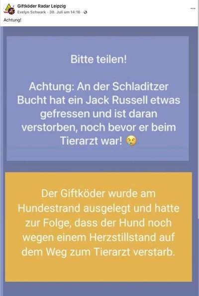 Giftköder-Vergifteter Hund-Bild