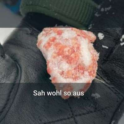 Giftköder-Giftköder-Bild