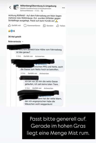 Giftköder-Rattengift-Bild