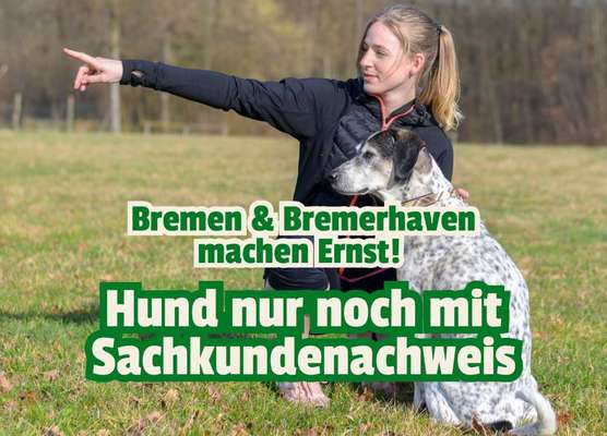 Hunde nur noch mit Führerschein? Bremen macht ernst und sorgt mit einem neuen Gesetz für Wirbel 🐕💥-Beitrag-Bild