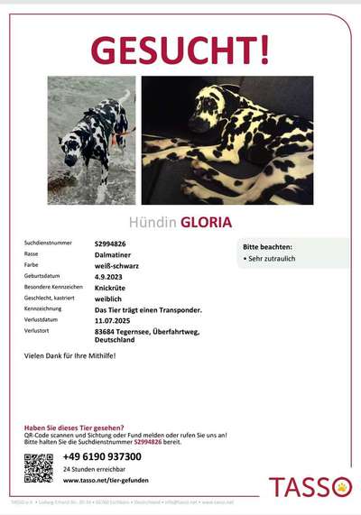 Suchmeldung-Gloria -Bild