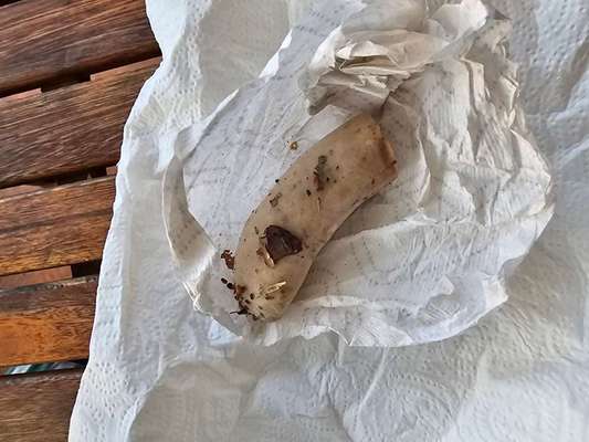 Giftköder-Gift? Halbe rohe frische Wurst-Bild