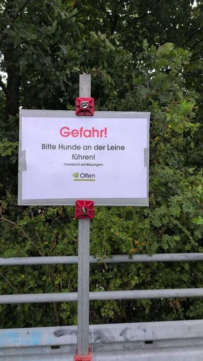 Giftköder-Giftköder-Bild
