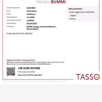 Suchmeldung-bummi-Bild