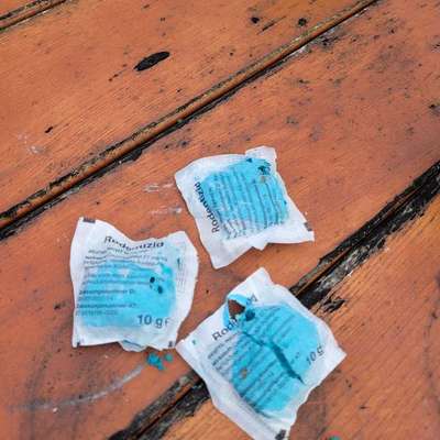 Giftköder-Giftköder im Garten-Bild