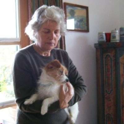 Suchmeldung-Heidi-Bild