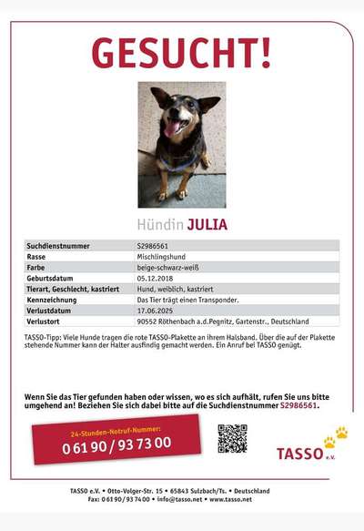Suchmeldung-Julia -Bild