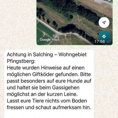 Giftköder-Giftköder-Bild