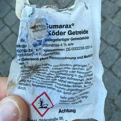 Giftköder-Mäusegiftköder im Weidenrand direkt am Wirtschaftsweg-Bild