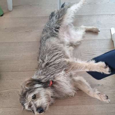 Suchmeldung-Juki-Bild