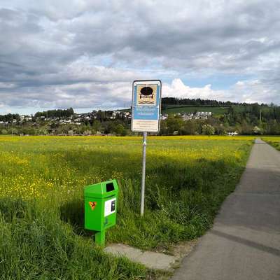 Giftköder-Verdacht auf Giftköder-Bild