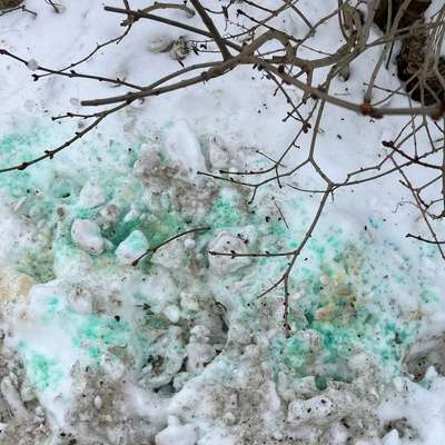 Giftköder-Grüne Flüssigkeit in Schneehaufen - Hund hat kurz geleckt und sofort gebrochen 📍📍-Bild