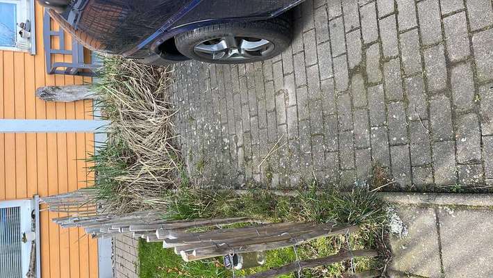 Giftköder-Giftköder / Raz-Bild