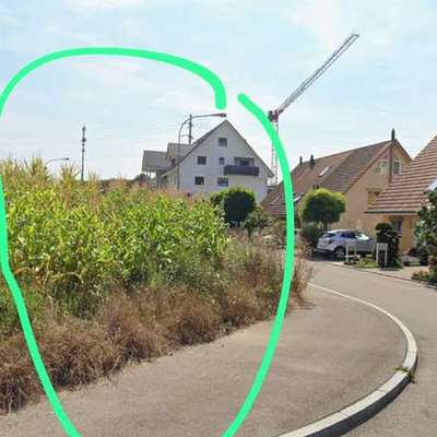 Giftköder-Evtl Giftköder ausgelegt-Bild