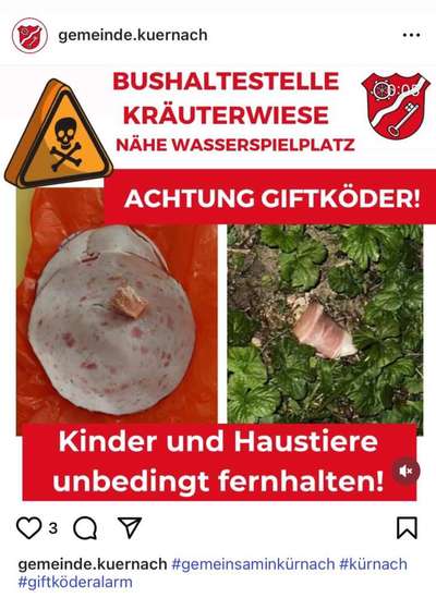 Giftköder-Giftköder-Bild