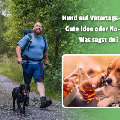 Himmelfahrt mit Hund - Wie handhabt ihr das? Purer Stress oder gute Zeit mit dem Vierbeiner?-Beitrag-Bild