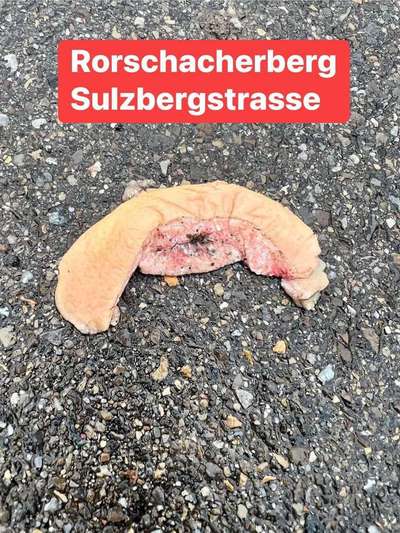 Giftköder-Giftköder-Bild