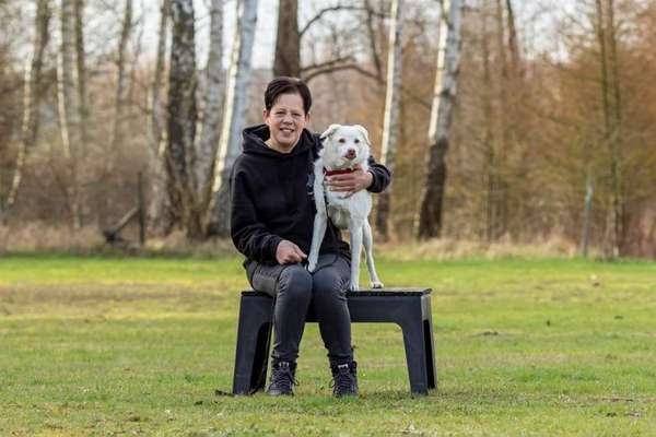 Hundetreffen-Gassirunde-Bild