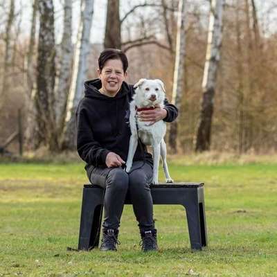 Hundetreffen-Training-Profilbild